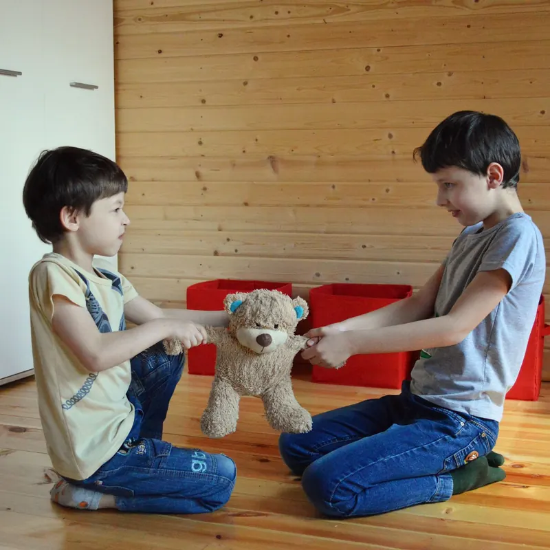 Dos hermanos peleando por un peluche, cómo gestionar los celos entre hermanos